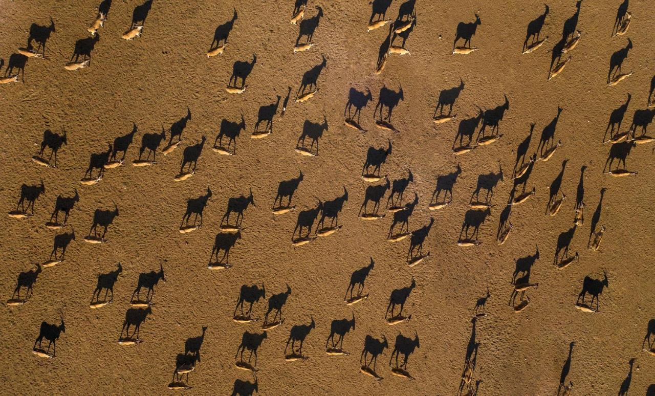 Anantara Sir Bani Yas Island Al Yamm Villa Resort Da'sah Bagian luar foto